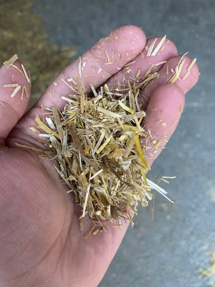 Bizon B-1130 Professional Straw and Biomass Shredder/Gri - Penghancur jerami: gambar 4 Bizon B-1130 Professional Straw and Biomass Shredder/Gri - Penghancur jerami: gambar 4