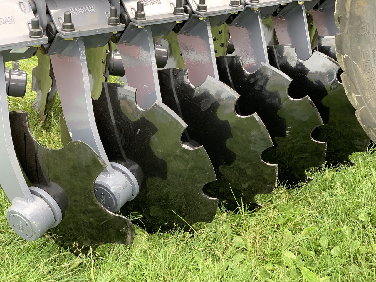 MANDAM Déchaumeur à disques GAL-TAL - Garu cakram: gambar 2 MANDAM Déchaumeur à disques GAL-TAL - Garu cakram: gambar 2