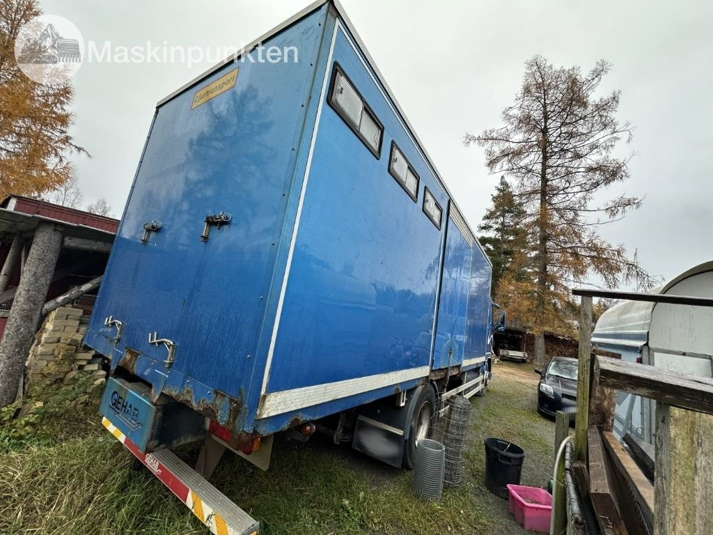 Volvo FH 12 - Truk pengangkut hewan: gambar 4 Volvo FH 12 - Truk pengangkut hewan: gambar 4