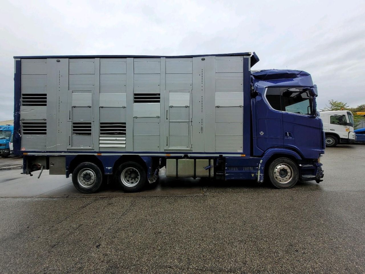 SCANIA BETAILLERE S650 - Truk pengangkut hewan: gambar 3 SCANIA BETAILLERE S650 - Truk pengangkut hewan: gambar 3