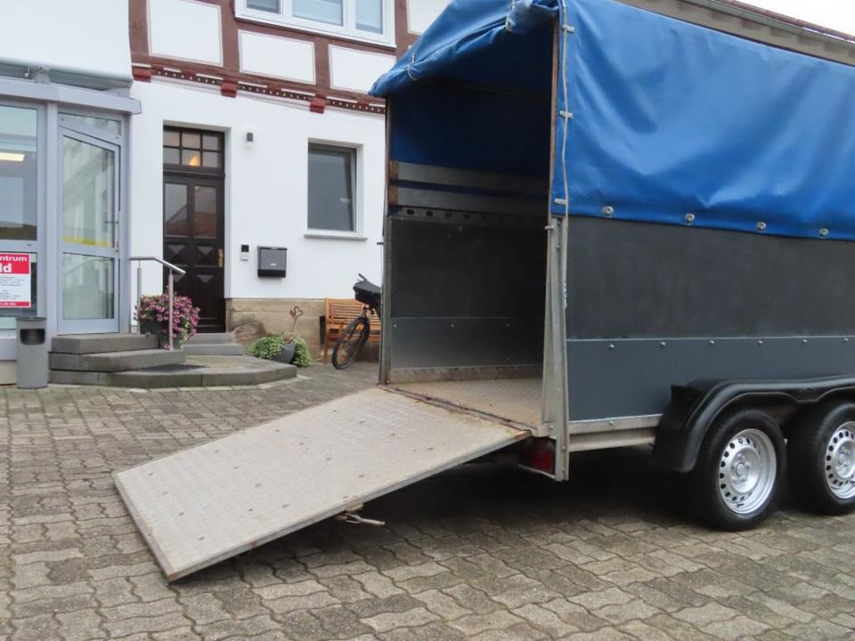 Böckman PKW Anhänger Plane & Spriegel Auffahrampe 2,0t - Trailer dengan terpal samping: gambar 4 Böckman PKW Anhänger Plane & Spriegel Auffahrampe 2,0t - Trailer dengan terpal samping: gambar 4