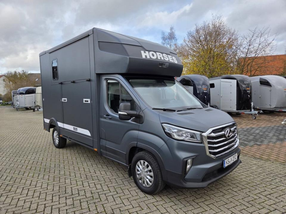 MSG Stablehopper Pferdetransporter Pferdeanhänger Böckmann - Truk pengangkut kuda: gambar 5 MSG Stablehopper Pferdetransporter Pferdeanhänger Böckmann - Truk pengangkut kuda: gambar 5