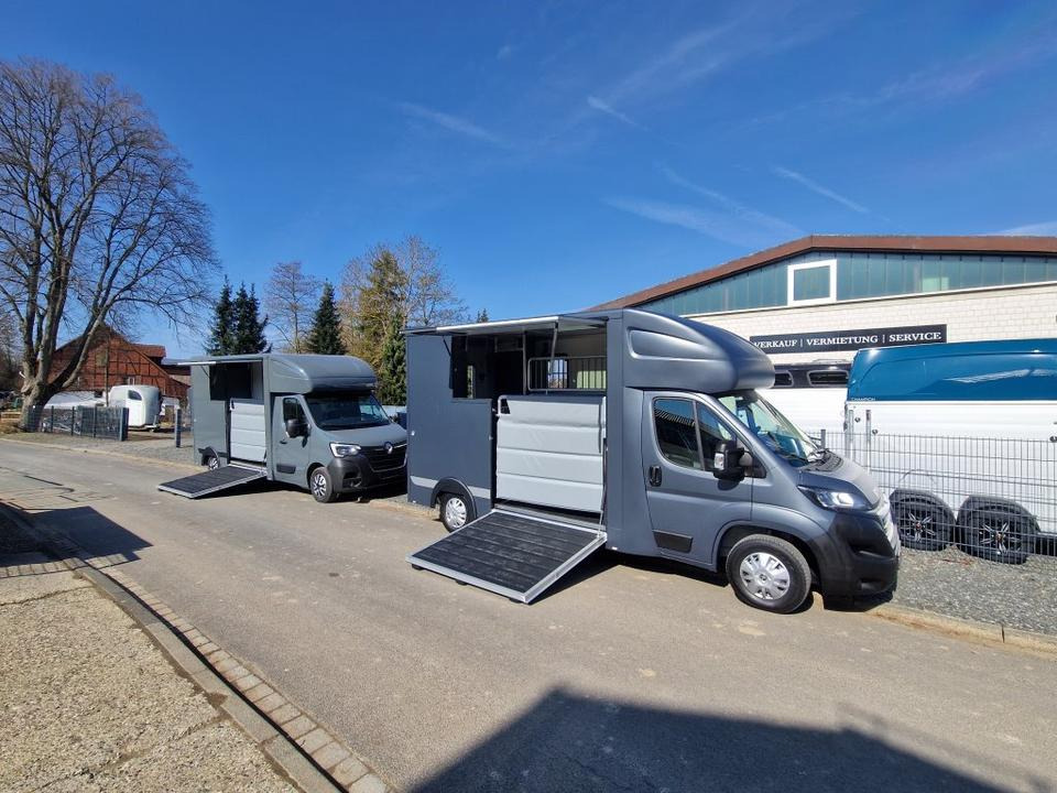 MSG Stablehopper Pferdetransporter Pferdeanhänger Böckmann - Truk pengangkut kuda: gambar 1 MSG Stablehopper Pferdetransporter Pferdeanhänger Böckmann - Truk pengangkut kuda: gambar 1