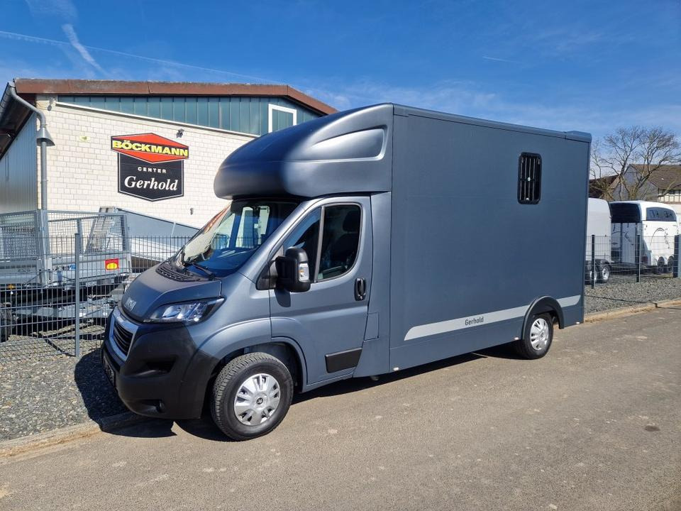 MSG Stablehopper Pferdetransporter Pferdeanhänger Böckmann - Truk pengangkut kuda: gambar 2 MSG Stablehopper Pferdetransporter Pferdeanhänger Böckmann - Truk pengangkut kuda: gambar 2