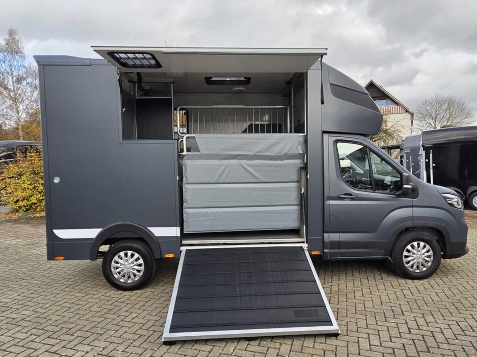 MSG Stablehopper Pferdetransporter Pferdeanhänger Böckmann - Truk pengangkut kuda: gambar 3 MSG Stablehopper Pferdetransporter Pferdeanhänger Böckmann - Truk pengangkut kuda: gambar 3