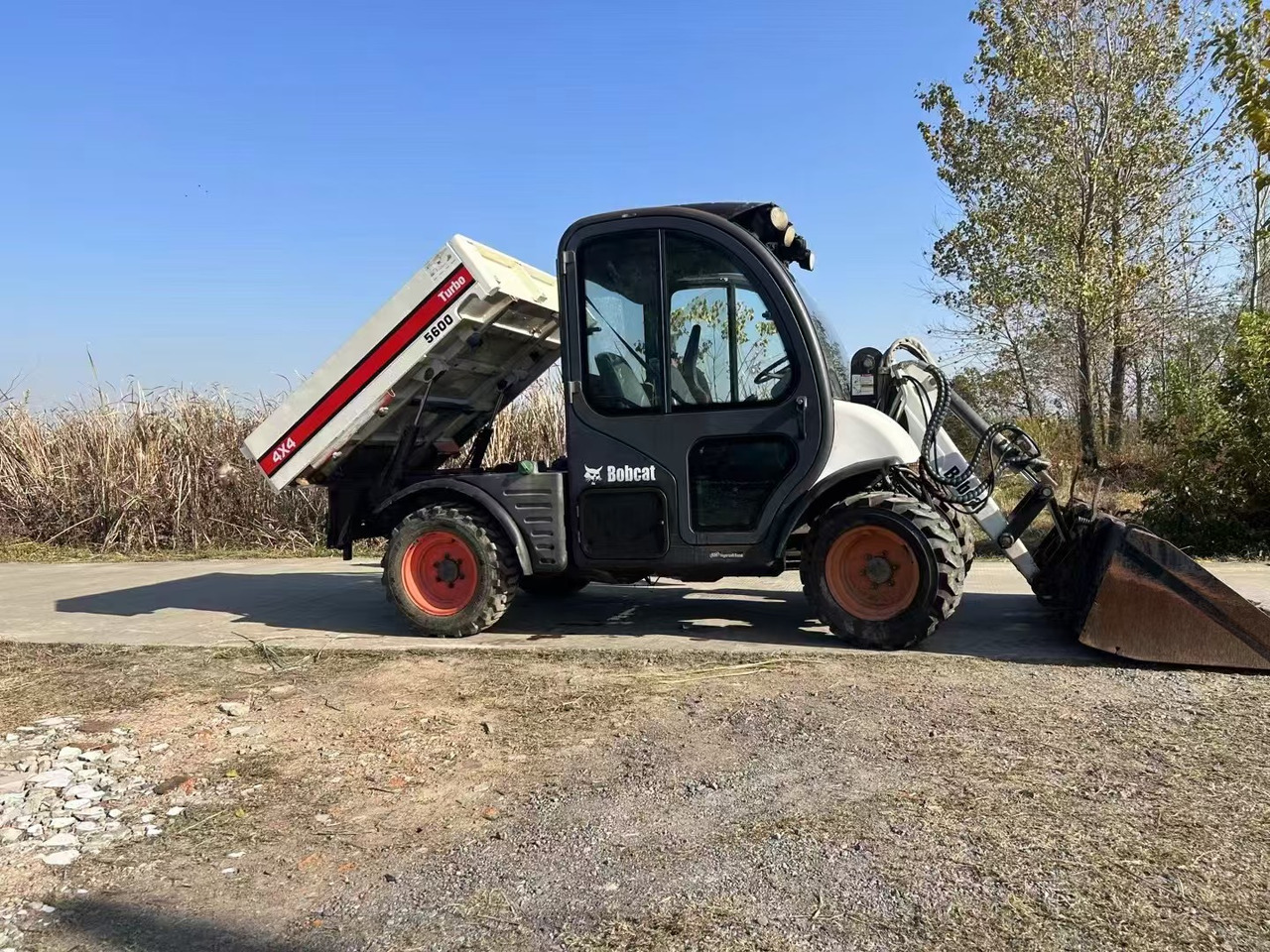BOBCAT Bobcat 5600 - Skid steer: gambar 1 BOBCAT Bobcat 5600 - Skid steer: gambar 1