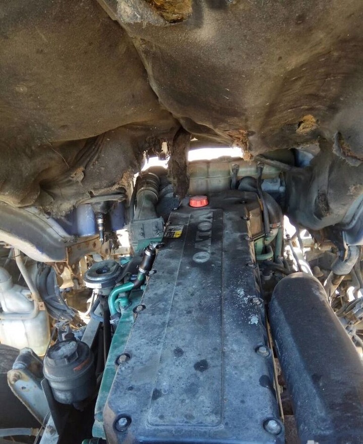 Volvo D12C 460 E3 Volvo FH 12 - Mesin untuk Truk: gambar 1 Volvo D12C 460 E3 Volvo FH 12 - Mesin untuk Truk: gambar 1