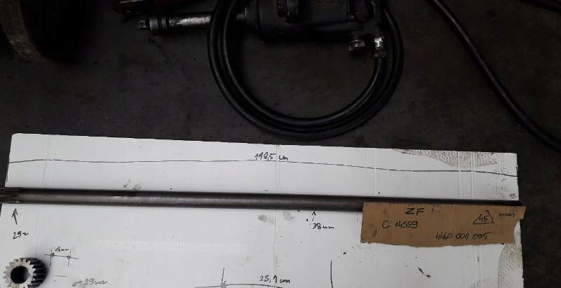 POŁOS OSKA SZTYWNA MOST ZF - Penularan: gambar 1 POŁOS OSKA SZTYWNA MOST ZF - Penularan: gambar 1