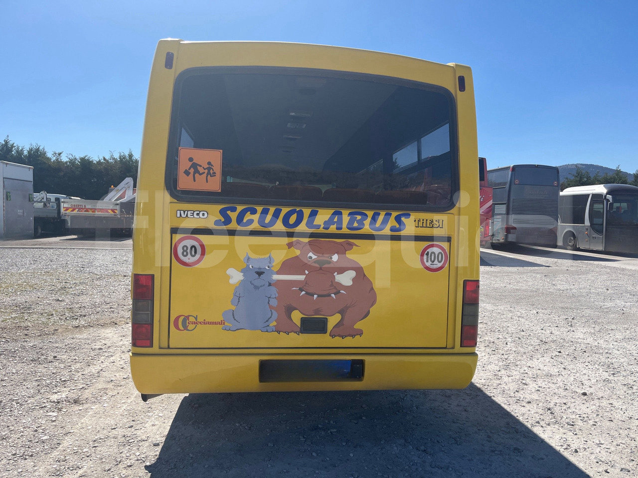 Iveco Cacciamali - Bus sekolah: gambar 5 Iveco Cacciamali - Bus sekolah: gambar 5