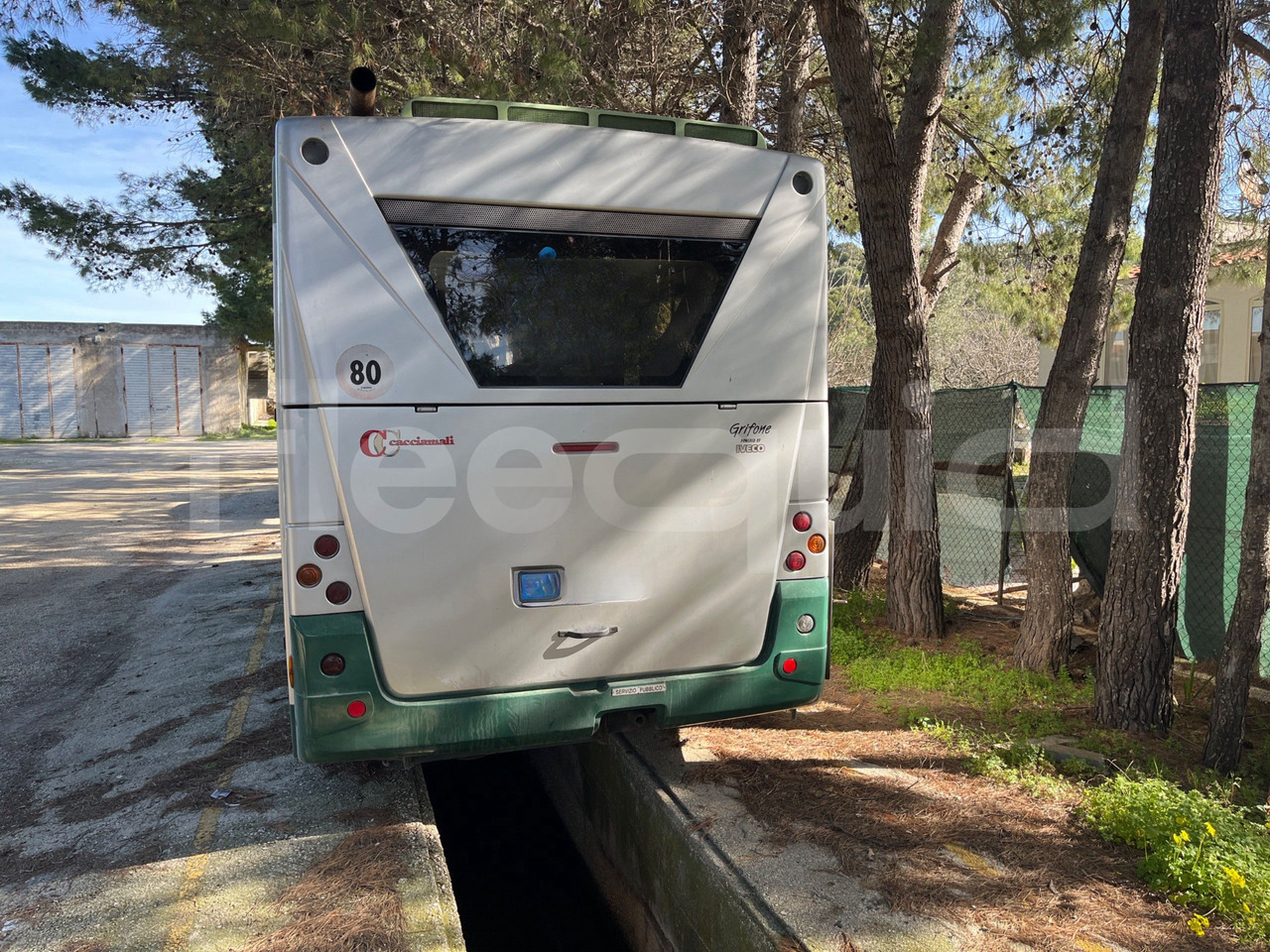 Iveco Cacciamali - Bus pinggiran kota: gambar 5 Iveco Cacciamali - Bus pinggiran kota: gambar 5