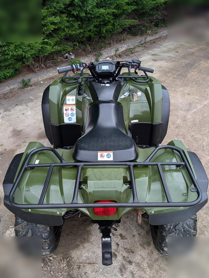 ATV 2021 YAMAHA KODIAK 450 EPS: gambar 6