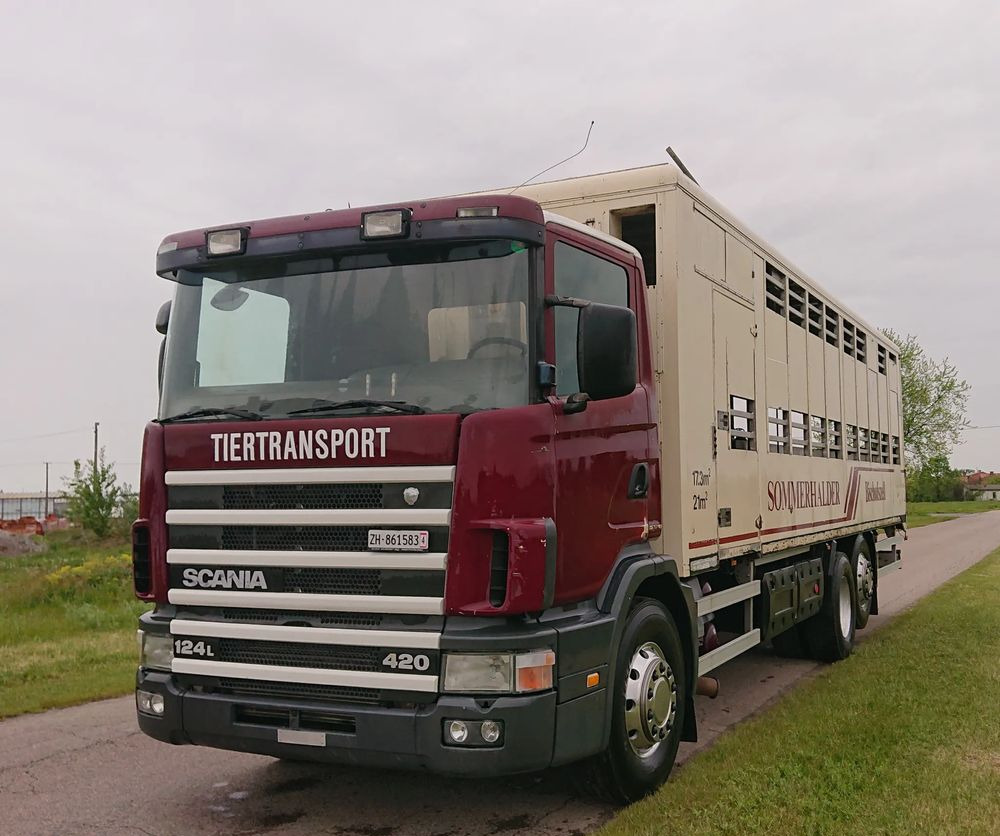 Scania 124 420 Do żywca - Truk pengangkut hewan: gambar 4 Scania 124 420 Do żywca - Truk pengangkut hewan: gambar 4