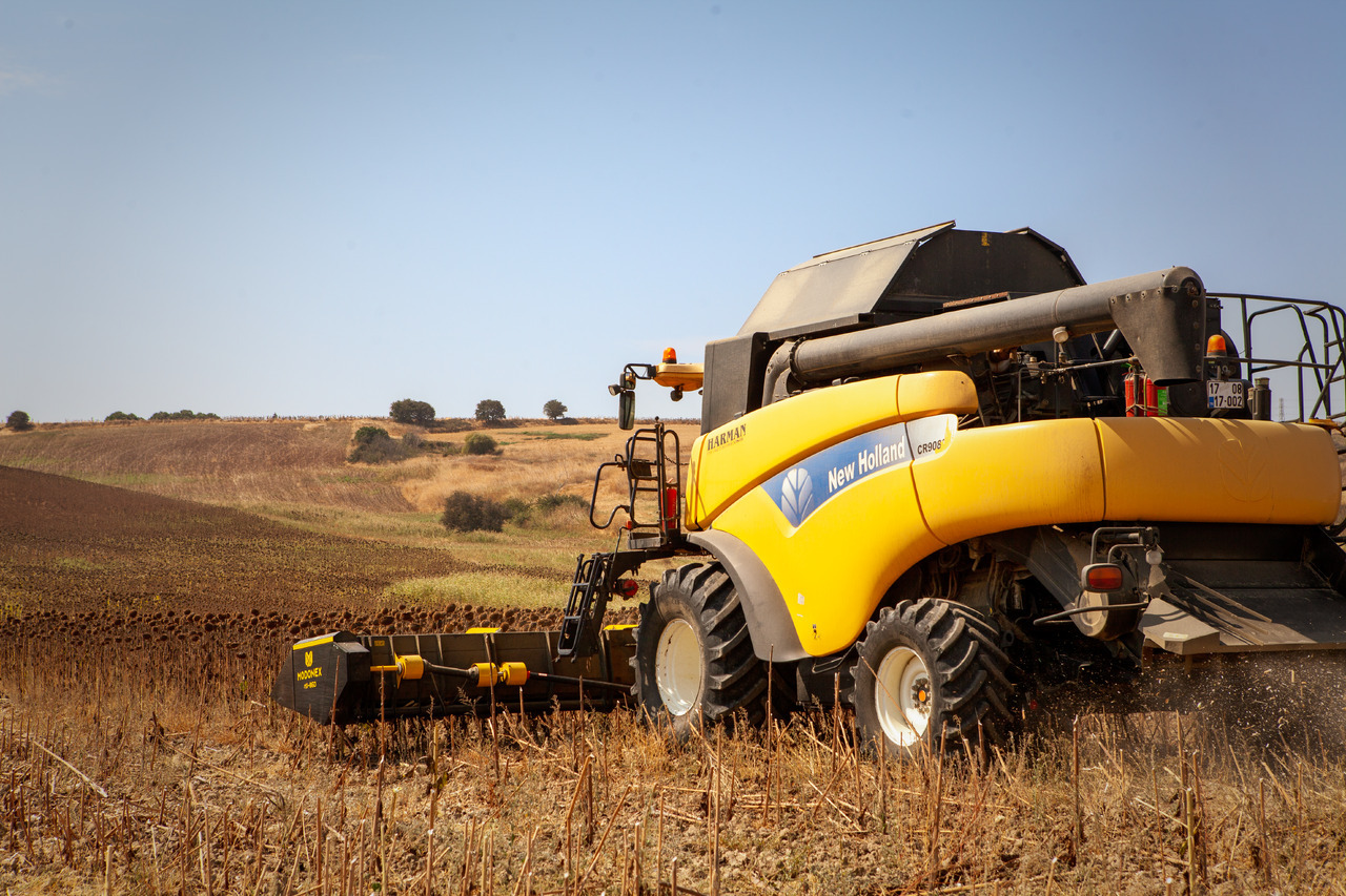 Modonex MX-630 - Header bunga matahari: gambar 3 Modonex MX-630 - Header bunga matahari: gambar 3