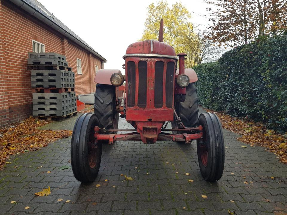 Oldtimer Hanomag R425 - Traktor: gambar 5 Oldtimer Hanomag R425 - Traktor: gambar 5