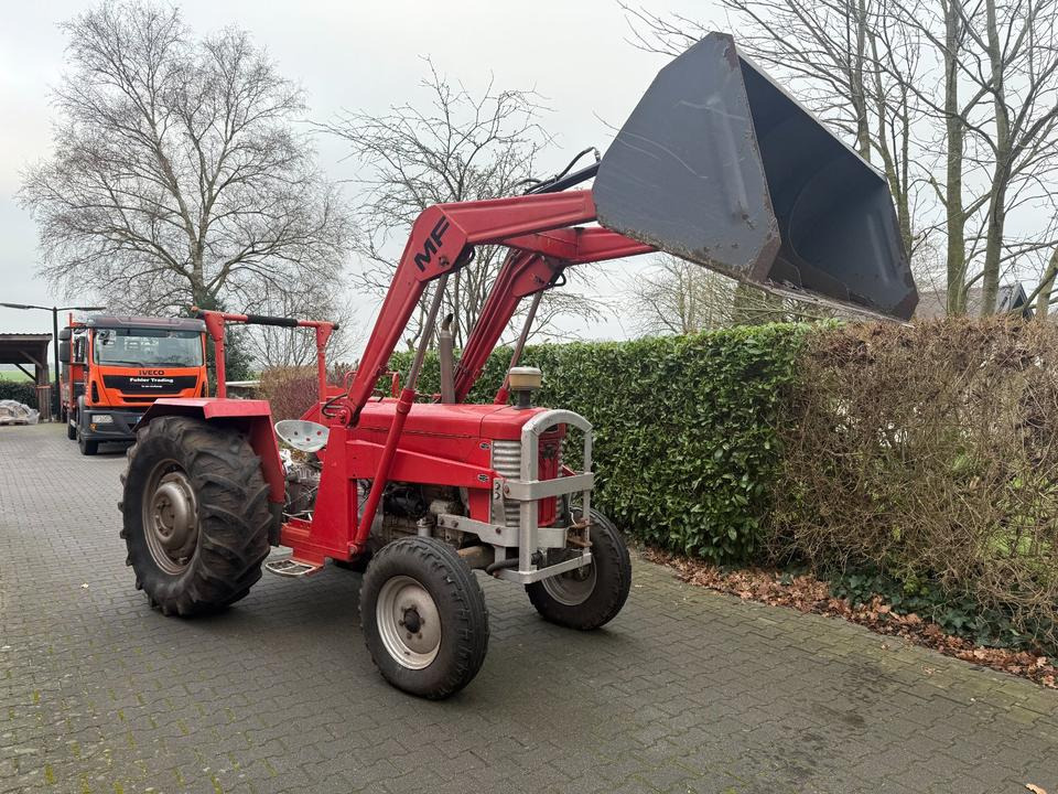 Trakor Massey Ferguson 65 mit Frontlader - Traktor: gambar 1 Trakor Massey Ferguson 65 mit Frontlader - Traktor: gambar 1