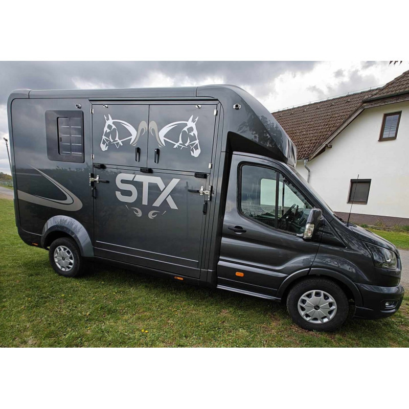 STX Ford Transit by Stephex - Truk pengangkut kuda: gambar 3 STX Ford Transit by Stephex - Truk pengangkut kuda: gambar 3