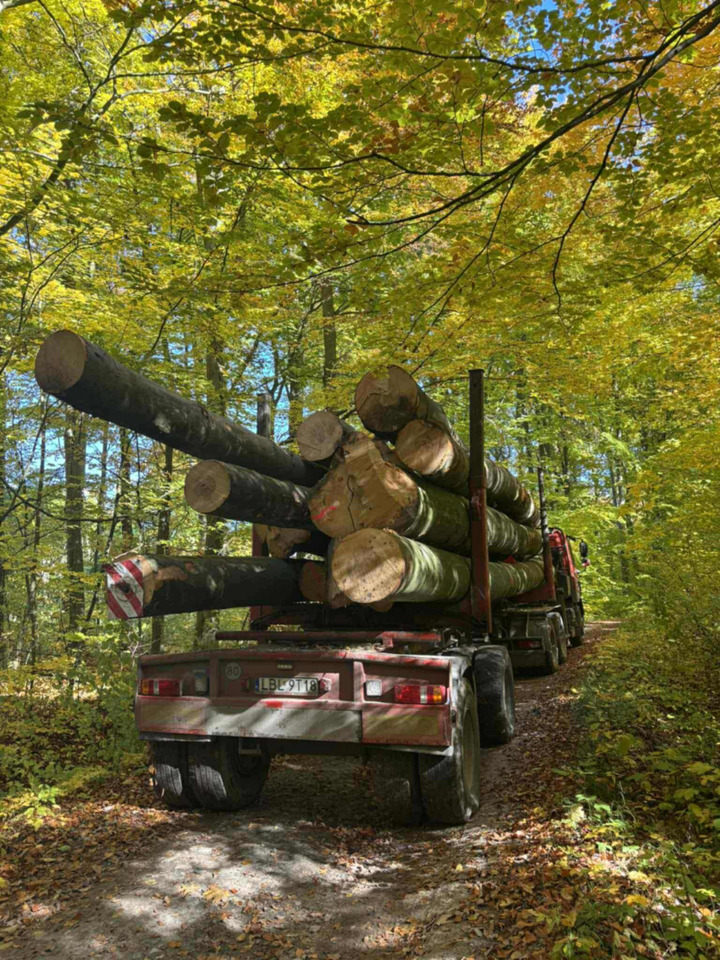 DAF CF510 - Truk logging, Truk derek: gambar 3 DAF CF510 - Truk logging, Truk derek: gambar 3