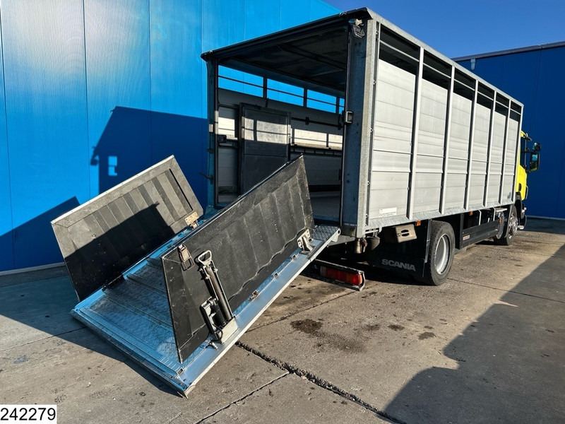 Scania P 320 EURO 5, Manual transmission, Retarder - Truk pengangkut hewan: gambar 4 Scania P 320 EURO 5, Manual transmission, Retarder - Truk pengangkut hewan: gambar 4