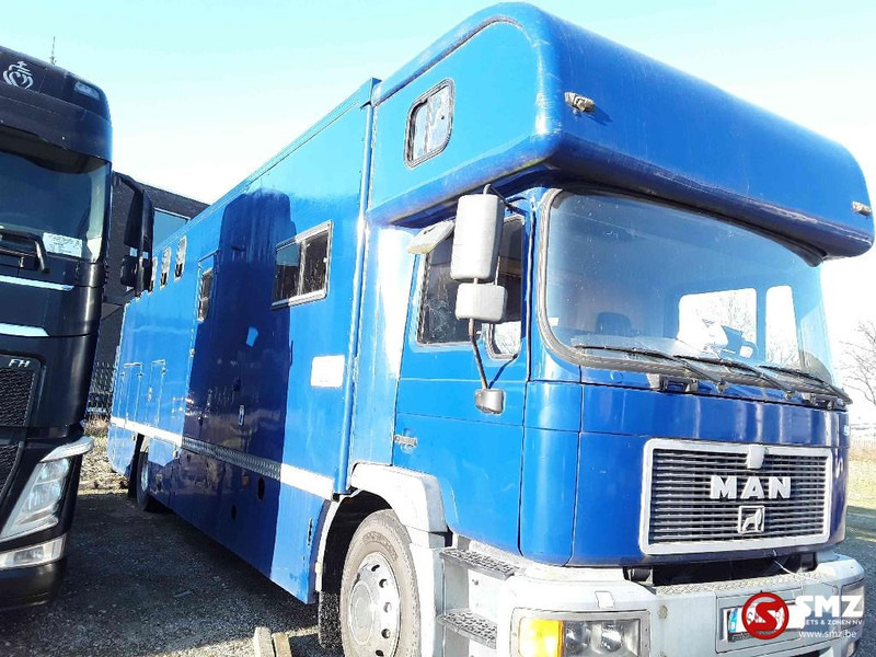 MAN 18.264 - Truk pengangkut hewan: gambar 3 MAN 18.264 - Truk pengangkut hewan: gambar 3