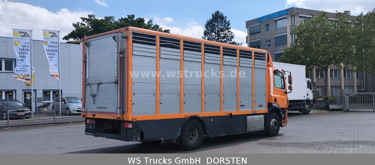 DAF CF 400 Menke Einstock Viehtransporter - Truk pengangkut kuda: gambar 5 DAF CF 400 Menke Einstock Viehtransporter - Truk pengangkut kuda: gambar 5