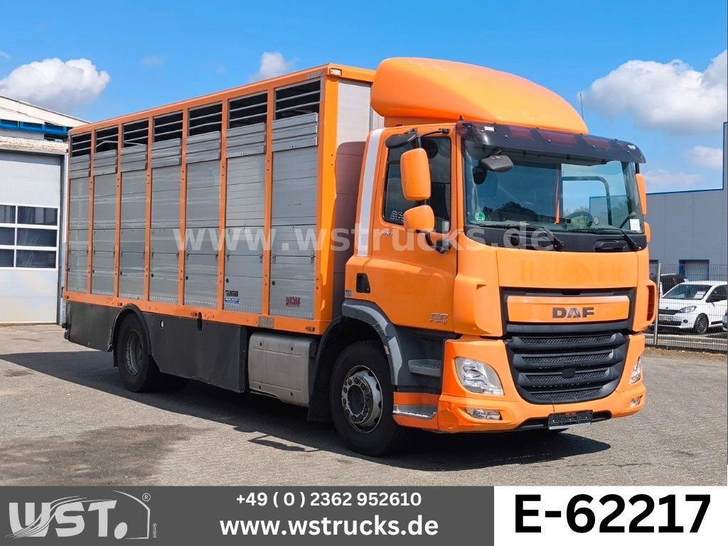 DAF CF 400 Menke Einstock Viehtransporter - Truk pengangkut kuda: gambar 1 DAF CF 400 Menke Einstock Viehtransporter - Truk pengangkut kuda: gambar 1