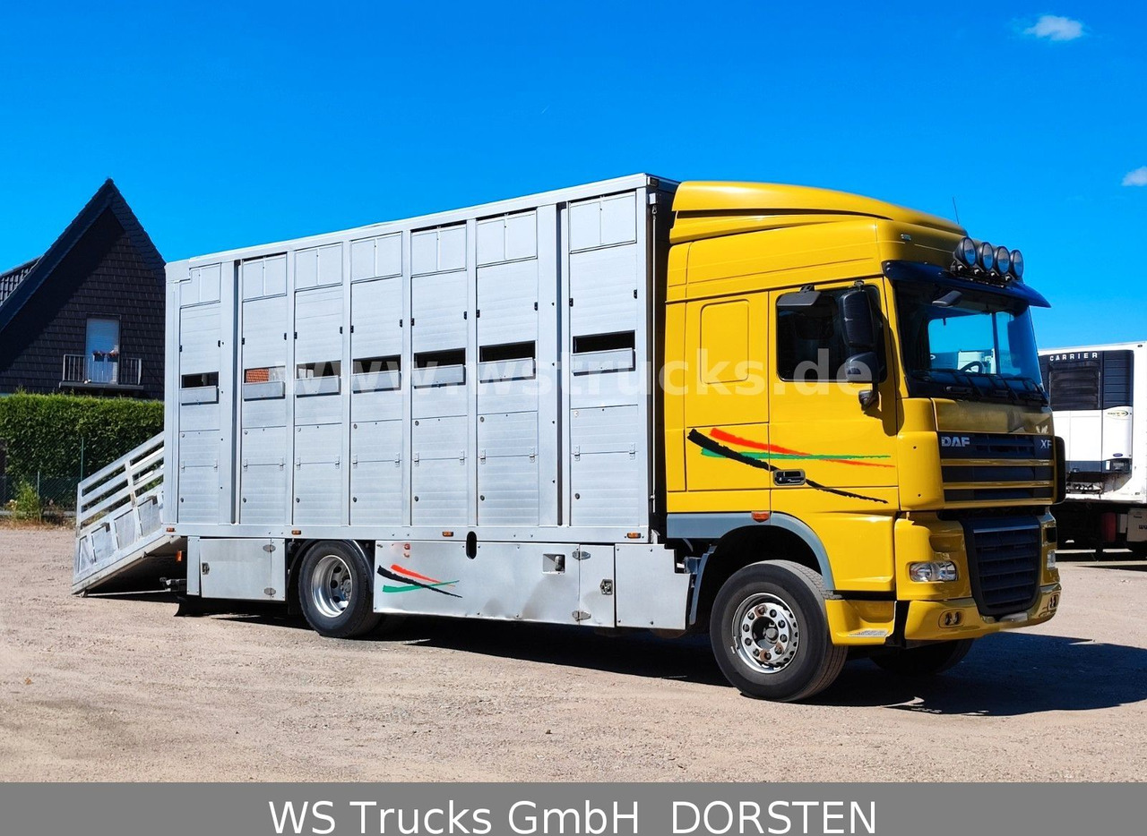 DAF XF 410 SC Menke Doppelstock - Truk pengangkut kuda: gambar 5 DAF XF 410 SC Menke Doppelstock - Truk pengangkut kuda: gambar 5