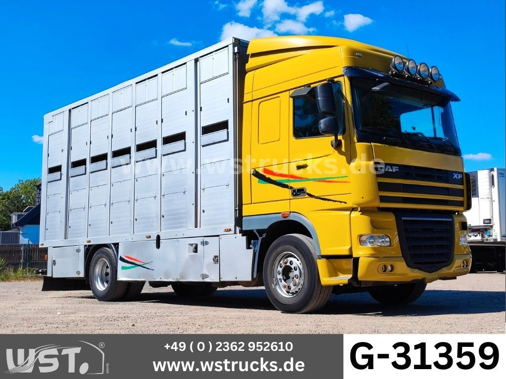 DAF XF 410 SC Menke Doppelstock - Truk pengangkut kuda: gambar 1 DAF XF 410 SC Menke Doppelstock - Truk pengangkut kuda: gambar 1