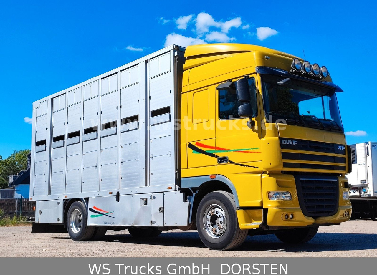 DAF XF 410 SC Menke Doppelstock - Truk pengangkut kuda: gambar 2 DAF XF 410 SC Menke Doppelstock - Truk pengangkut kuda: gambar 2