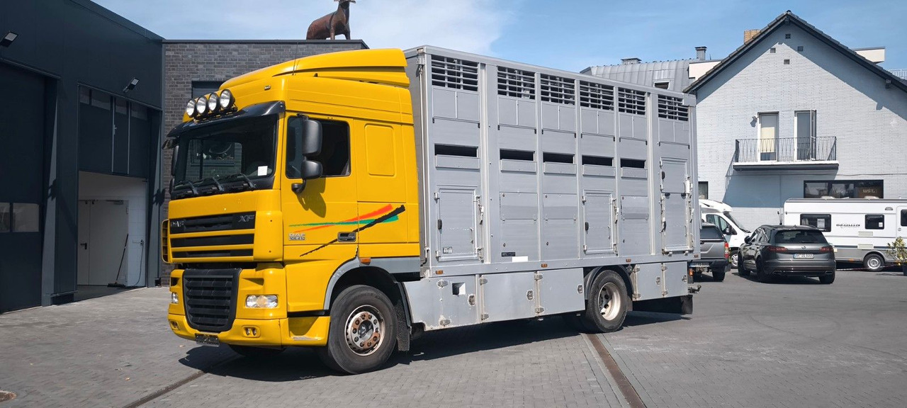 DAF XF 410 SC Menke Doppelstock - Truk pengangkut kuda: gambar 5 DAF XF 410 SC Menke Doppelstock - Truk pengangkut kuda: gambar 5