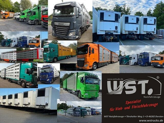 Trailer berpendingin Getränke  WST Edition 1500 Small 2.5x1.5x1.9: gambar 13