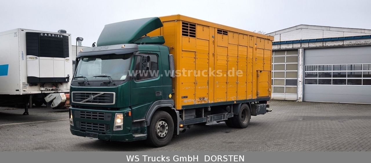 Volvo FM 260 mit KABA 2 Stock Vollalu Viehtransporter - Truk pengangkut kuda: gambar 2 Volvo FM 260 mit KABA 2 Stock Vollalu Viehtransporter - Truk pengangkut kuda: gambar 2