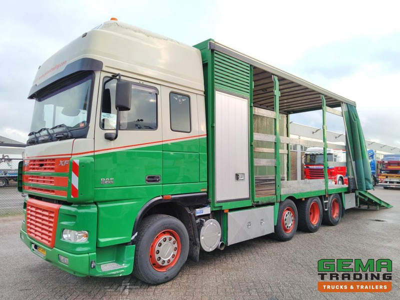 DAF FAK XF95.430 8x2 SuperSpaceCab Euro3 - CurtainSider 7.31m + Ramp 16T - MachineTransporter - 6 Persons (V558) - Truk pengangkut mobil: gambar 1 DAF FAK XF95.430 8x2 SuperSpaceCab Euro3 - CurtainSider 7.31m + Ramp 16T - MachineTransporter - 6 Persons (V558) - Truk pengangkut mobil: gambar 1