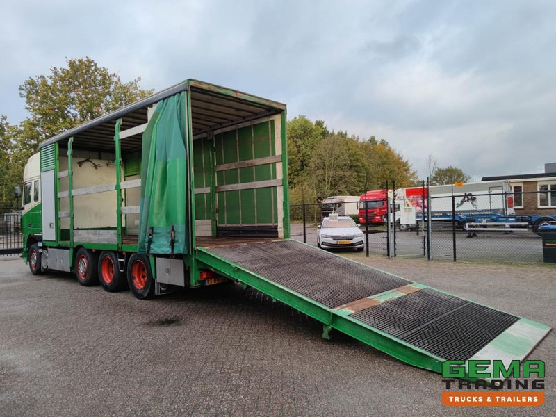 DAF FAK XF95.430 8x2 SuperSpaceCab Euro3 - CurtainSider 7.31m + Ramp 16T - MachineTransporter - 6 Persons (V558) - Truk pengangkut mobil: gambar 2 DAF FAK XF95.430 8x2 SuperSpaceCab Euro3 - CurtainSider 7.31m + Ramp 16T - MachineTransporter - 6 Persons (V558) - Truk pengangkut mobil: gambar 2