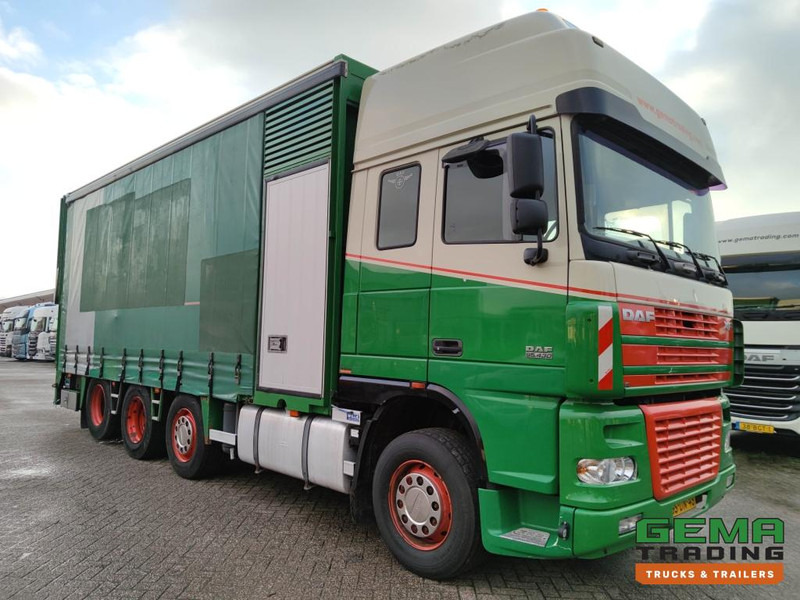 DAF FAK XF95.430 8x2 SuperSpaceCab Euro3 - CurtainSider 7.31m + Ramp 16T - MachineTransporter - 6 Persons (V558) - Truk pengangkut mobil: gambar 3 DAF FAK XF95.430 8x2 SuperSpaceCab Euro3 - CurtainSider 7.31m + Ramp 16T - MachineTransporter - 6 Persons (V558) - Truk pengangkut mobil: gambar 3