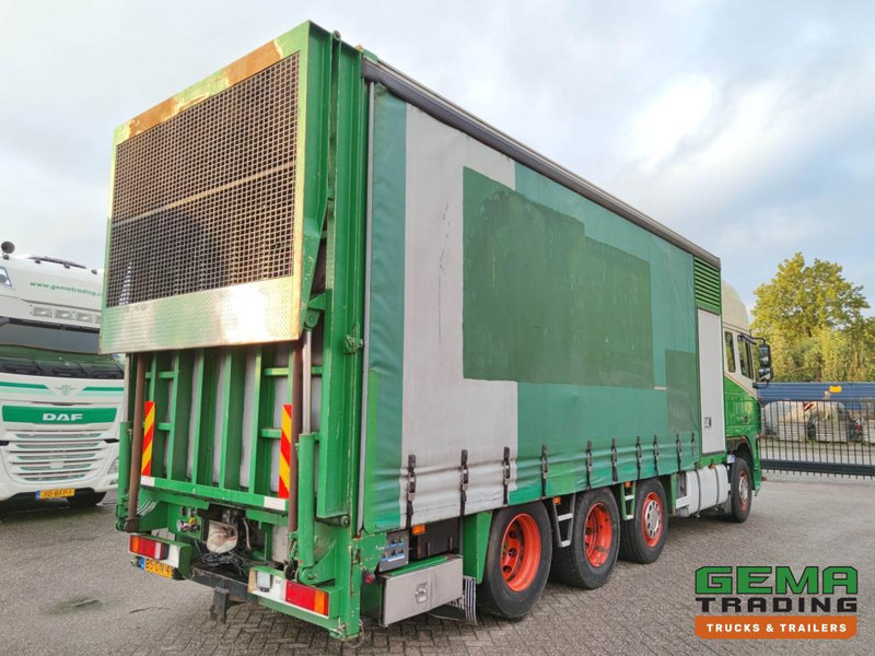 DAF FAK XF95.430 8x2 SuperSpaceCab Euro3 - CurtainSider 7.31m + Ramp 16T - MachineTransporter - 6 Persons (V558) - Truk pengangkut mobil: gambar 4 DAF FAK XF95.430 8x2 SuperSpaceCab Euro3 - CurtainSider 7.31m + Ramp 16T - MachineTransporter - 6 Persons (V558) - Truk pengangkut mobil: gambar 4