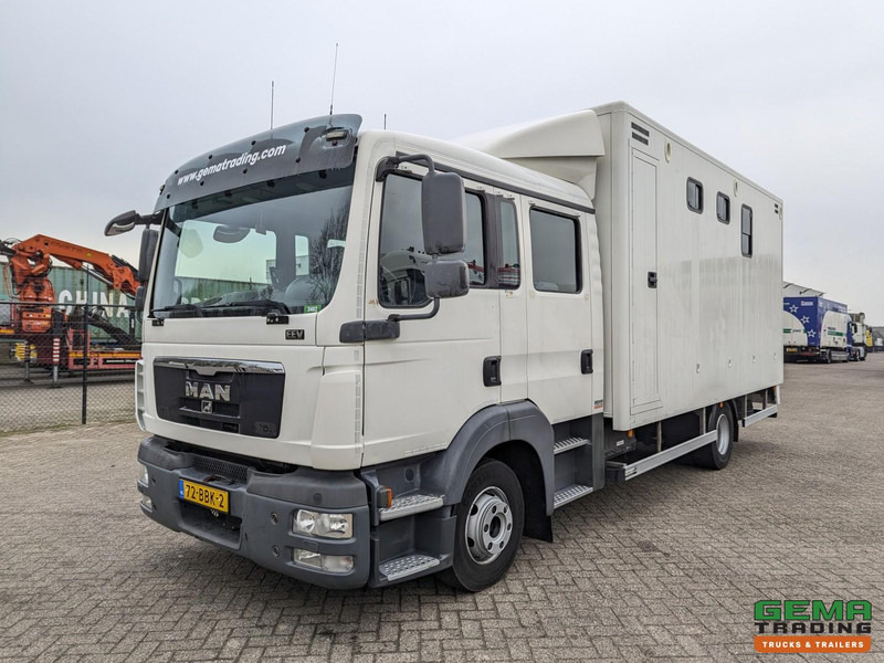 MAN TGL 12.180 4x2 DoKa 7 pers. Euro5 EEV - Paardenwagen 2-Paards - 147.000km! - MARGE - Truk pengangkut kuda: gambar 3 MAN TGL 12.180 4x2 DoKa 7 pers. Euro5 EEV - Paardenwagen 2-Paards - 147.000km! - MARGE - Truk pengangkut kuda: gambar 3