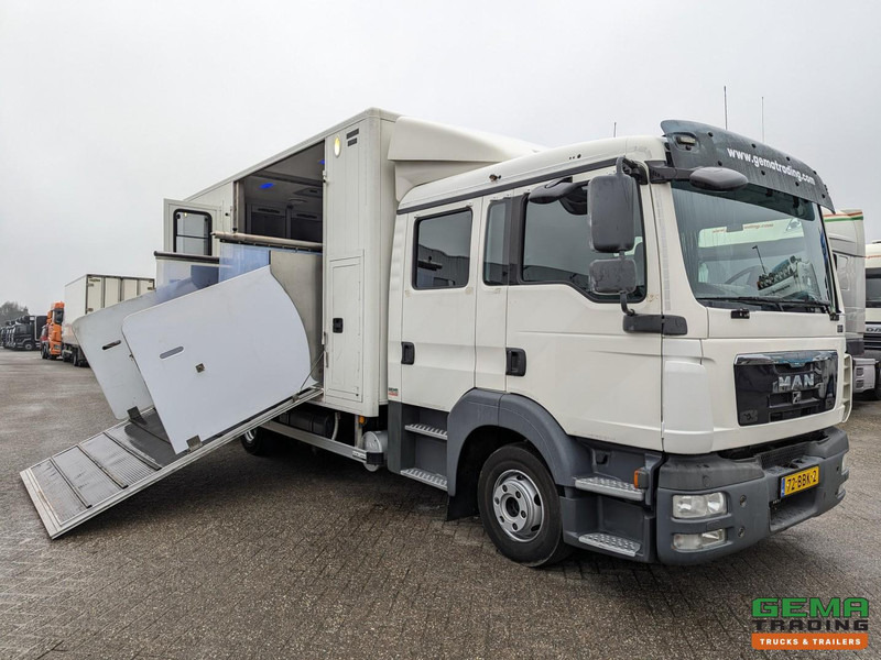 MAN TGL 12.180 4x2 DoKa 7 pers. Euro5 EEV - Paardenwagen 2-Paards - 147.000km! - MARGE - Truk pengangkut kuda: gambar 1 MAN TGL 12.180 4x2 DoKa 7 pers. Euro5 EEV - Paardenwagen 2-Paards - 147.000km! - MARGE - Truk pengangkut kuda: gambar 1