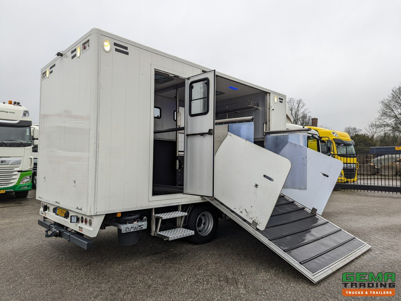 MAN TGL 12.180 4x2 DoKa 7 pers. Euro5 EEV - Paardenwagen 2-Paards - 147.000km! - MARGE - Truk pengangkut kuda: gambar 2 MAN TGL 12.180 4x2 DoKa 7 pers. Euro5 EEV - Paardenwagen 2-Paards - 147.000km! - MARGE - Truk pengangkut kuda: gambar 2
