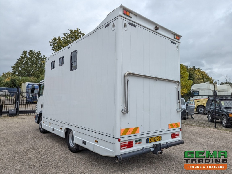 MAN TGL 12.250 4x2 Euro5 EEV RC HorseTruck - 2a3 Paards - 135.000km - MARGE (V821) - Truk pengangkut kuda: gambar 4 MAN TGL 12.250 4x2 Euro5 EEV RC HorseTruck - 2a3 Paards - 135.000km - MARGE (V821) - Truk pengangkut kuda: gambar 4