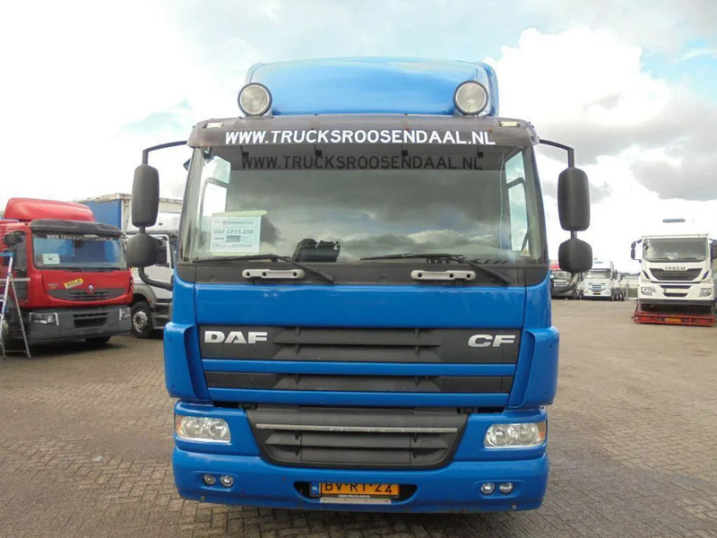 DAF CF 75.250 + Euro 5 - Truk sasis: gambar 2 DAF CF 75.250 + Euro 5 - Truk sasis: gambar 2