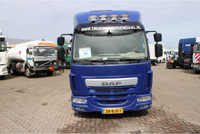 DAF LF 230 + EURO 6 - Truk pengangkut hewan: gambar 2 DAF LF 230 + EURO 6 - Truk pengangkut hewan: gambar 2