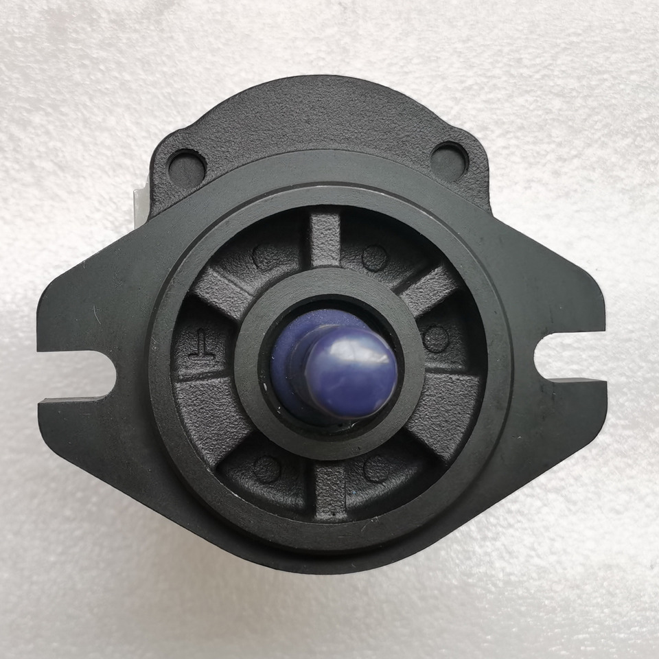 OCEANUS Gear Pump for China Wheel Loader - Pompa hidrolik untuk Wheel loader: gambar 4 OCEANUS Gear Pump for China Wheel Loader - Pompa hidrolik untuk Wheel loader: gambar 4