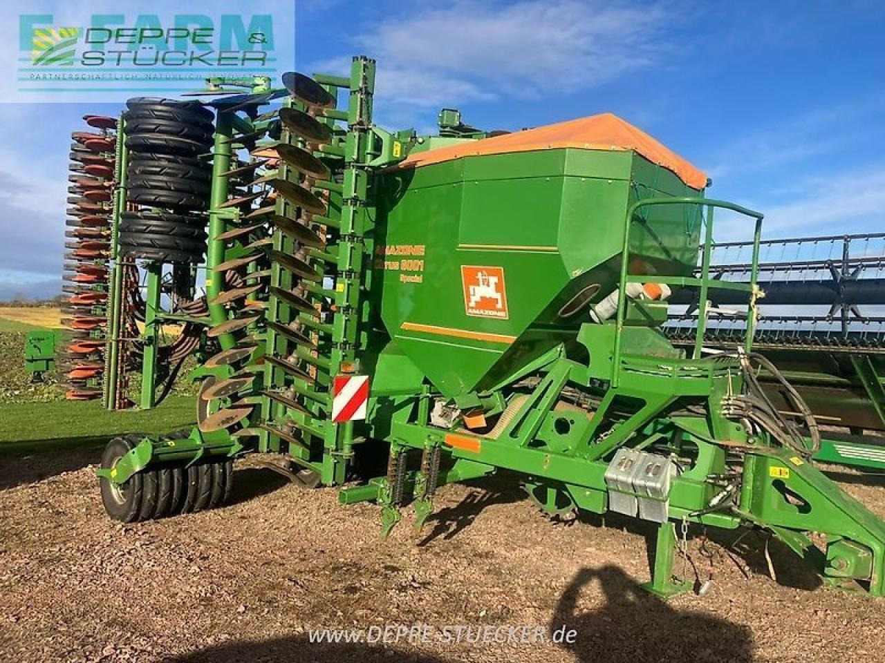 Bor benih Amazone cirrus 6001: gambar 6