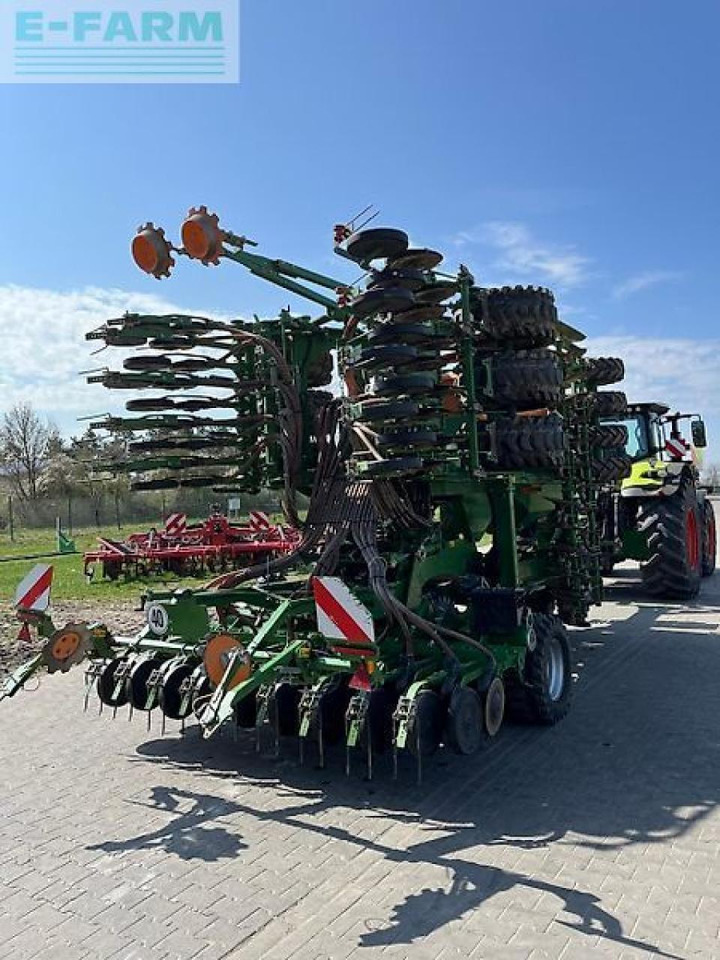 Amazone cirrus 6003-2 - Bor benih: gambar 5 Amazone cirrus 6003-2 - Bor benih: gambar 5