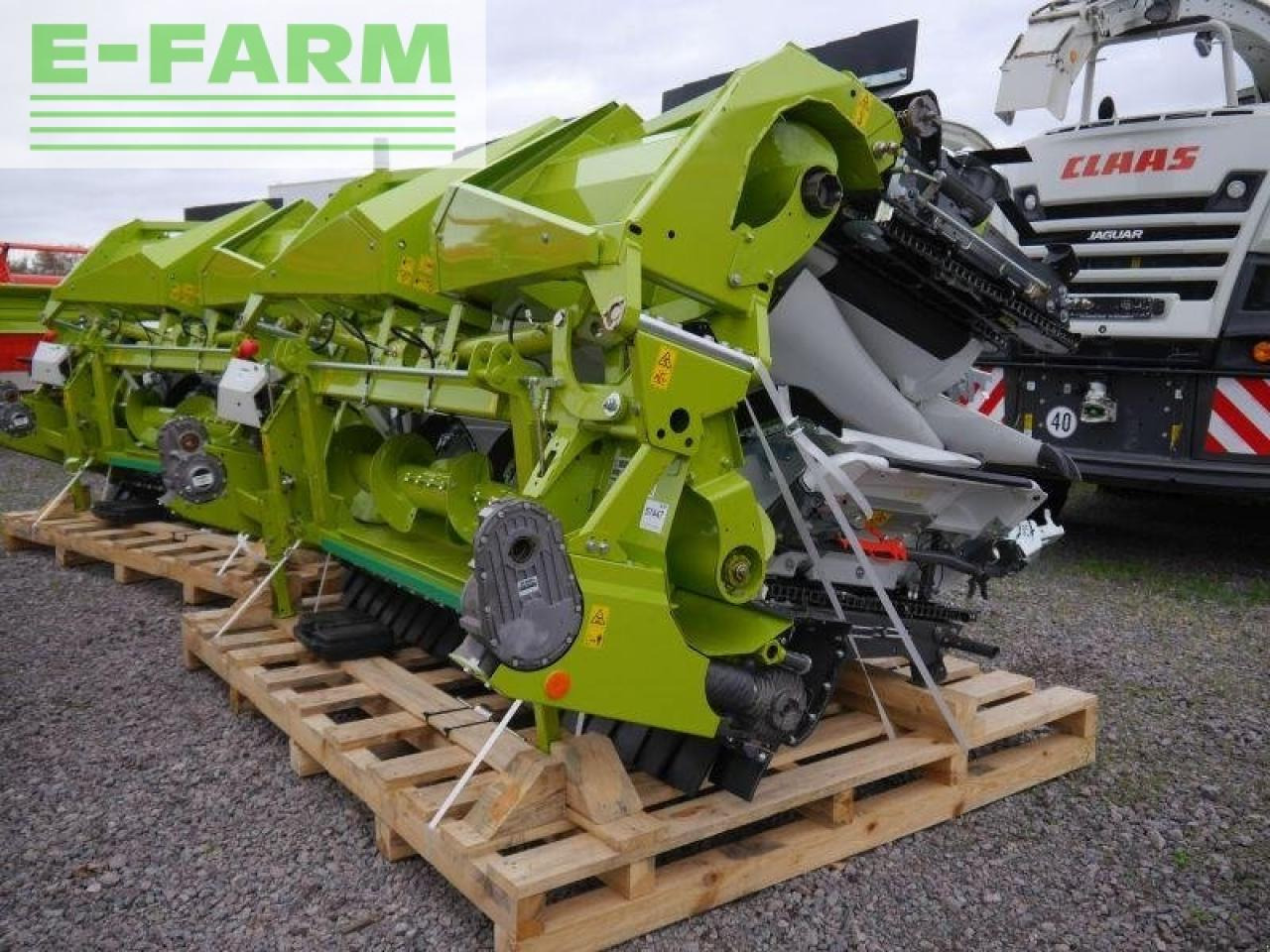 CLAAS corio 870 fc conspeed - Sundulan jagung: gambar 2 CLAAS corio 870 fc conspeed - Sundulan jagung: gambar 2