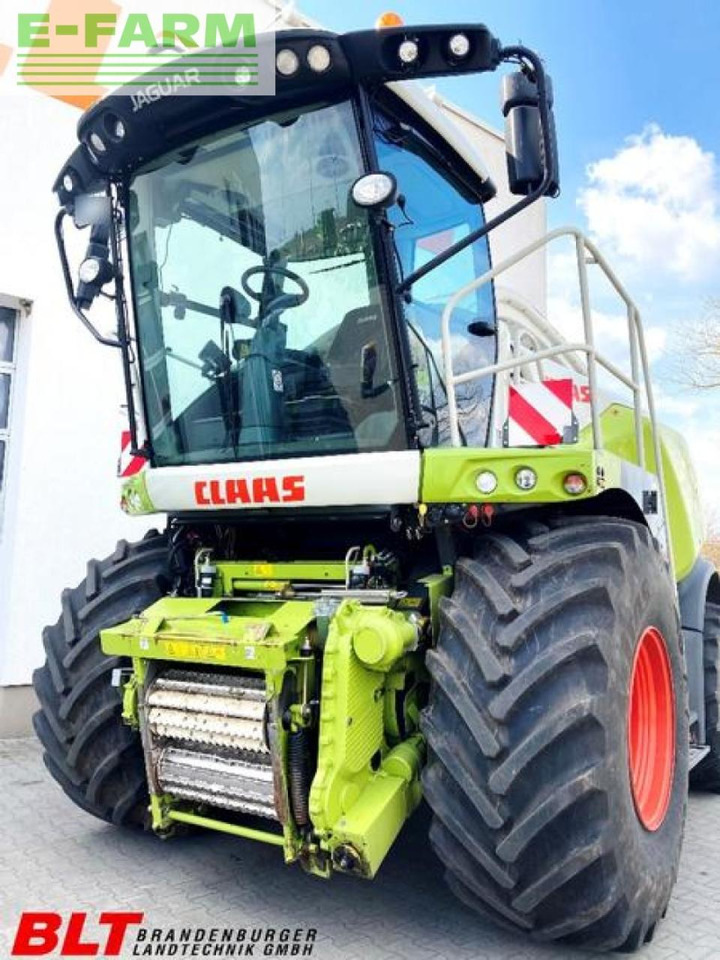 Pemanen hijauan CLAAS jaguar 950: gambar 13