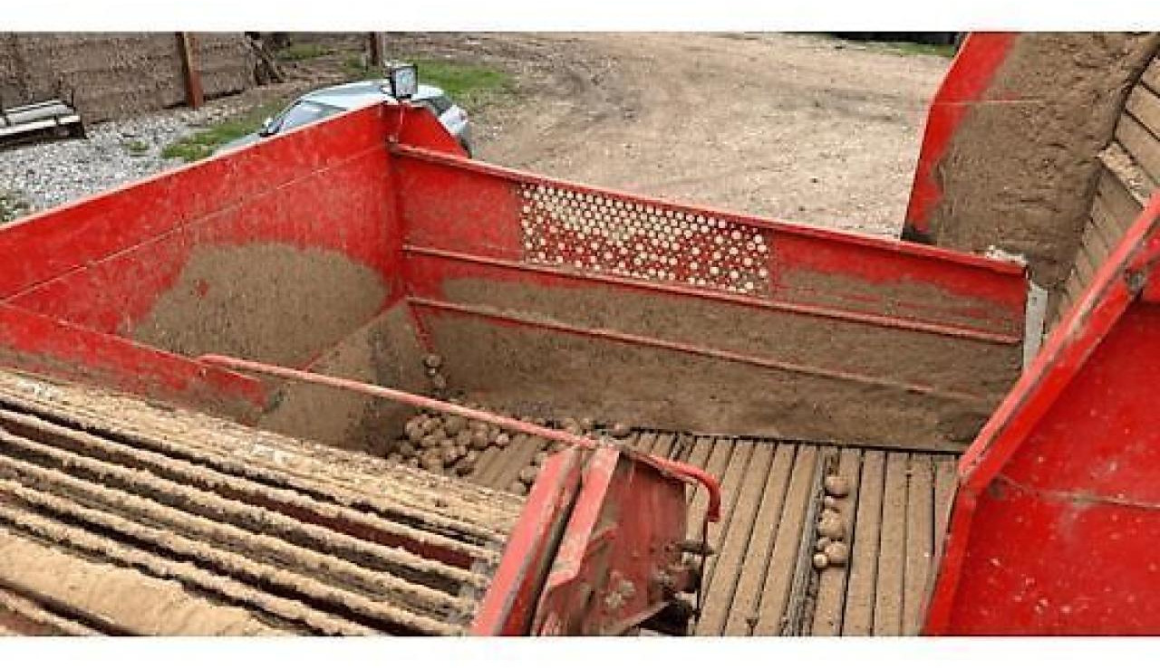 Grimme dr1500 - Mesin pemanen kentang: gambar 3 Grimme dr1500 - Mesin pemanen kentang: gambar 3
