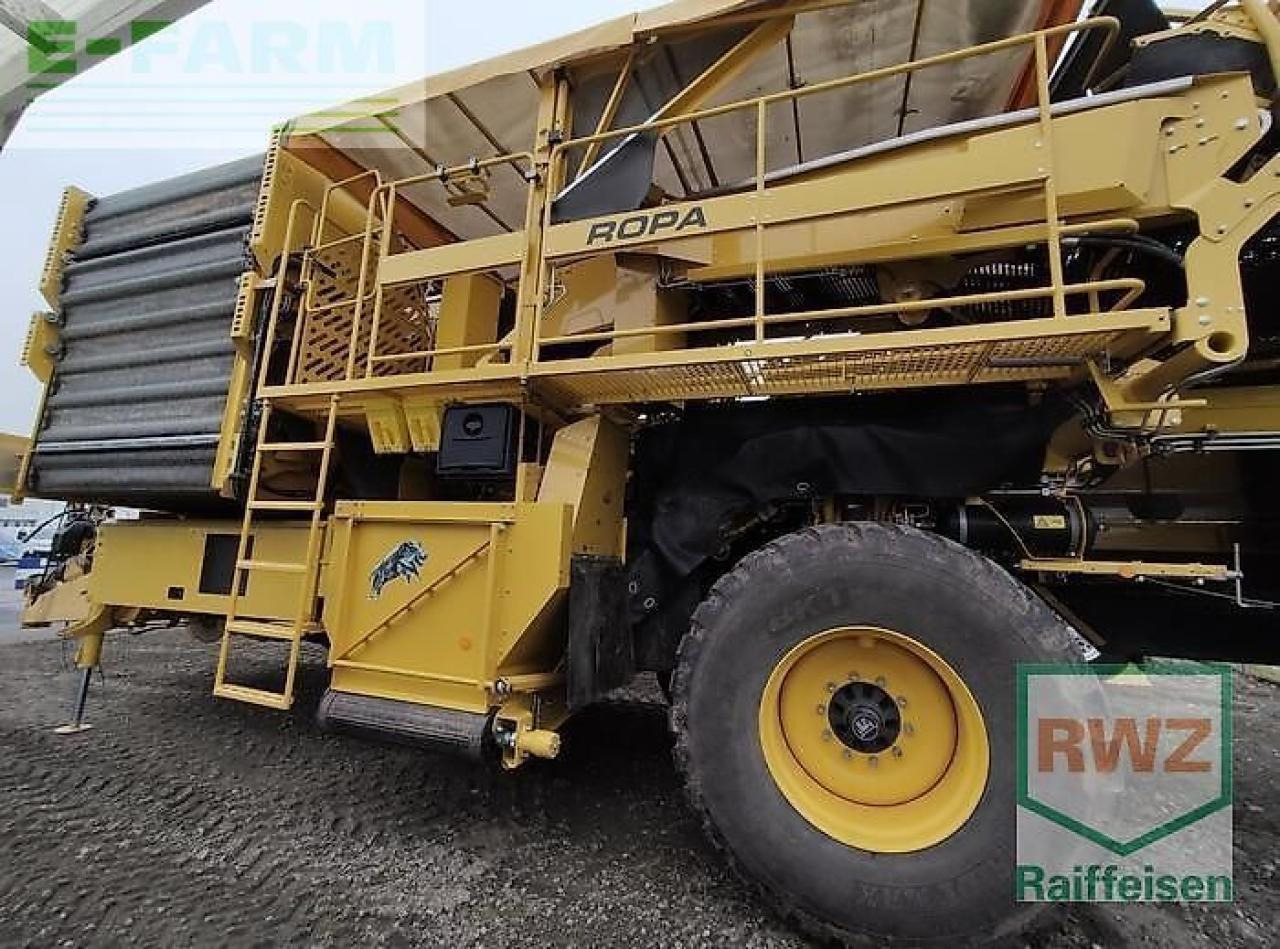 Ropa keiler ii classic - Mesin pemanen kentang: gambar 4 Ropa keiler ii classic - Mesin pemanen kentang: gambar 4