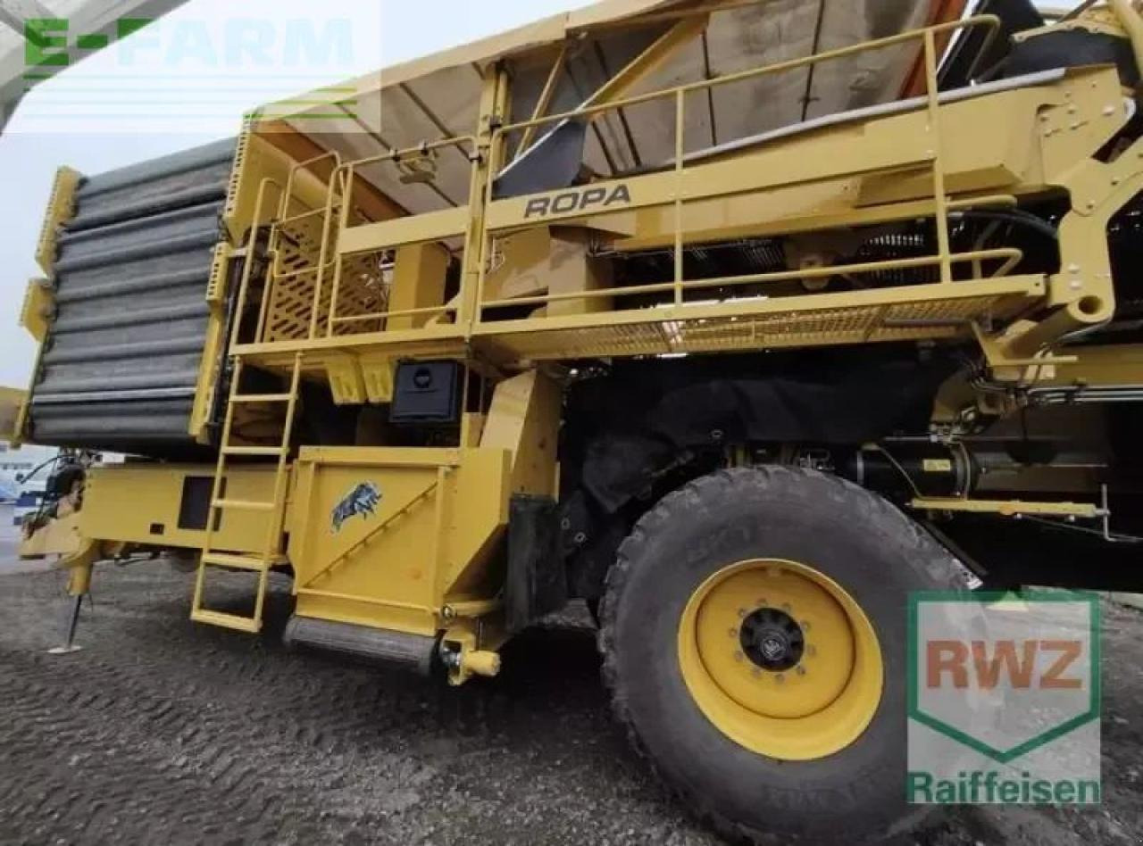 Ropa keiler ii classic - Mesin pemanen kentang: gambar 4 Ropa keiler ii classic - Mesin pemanen kentang: gambar 4