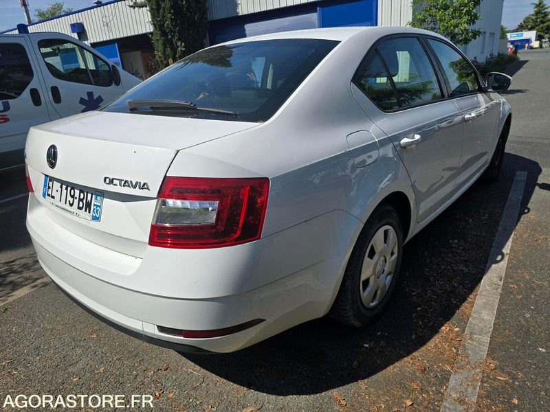EL-119-BW - Non Roulant - SKODA OCTAVIA - CG INTEGRAL - 250 000 Kms - Mobil: gambar 4 EL-119-BW - Non Roulant - SKODA OCTAVIA - CG INTEGRAL - 250 000 Kms - Mobil: gambar 4